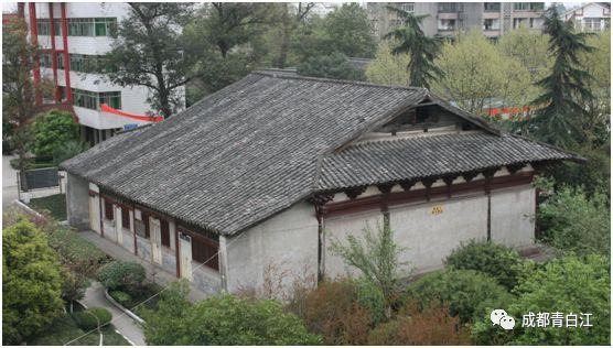 春雨直播app