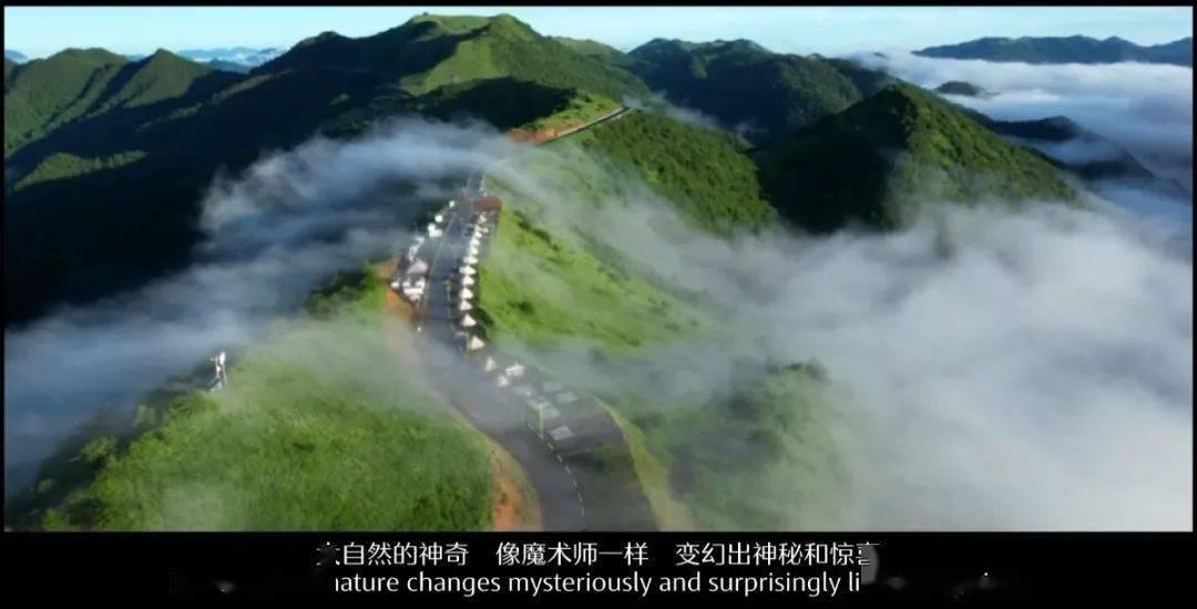 地标动物雕塑哪里有